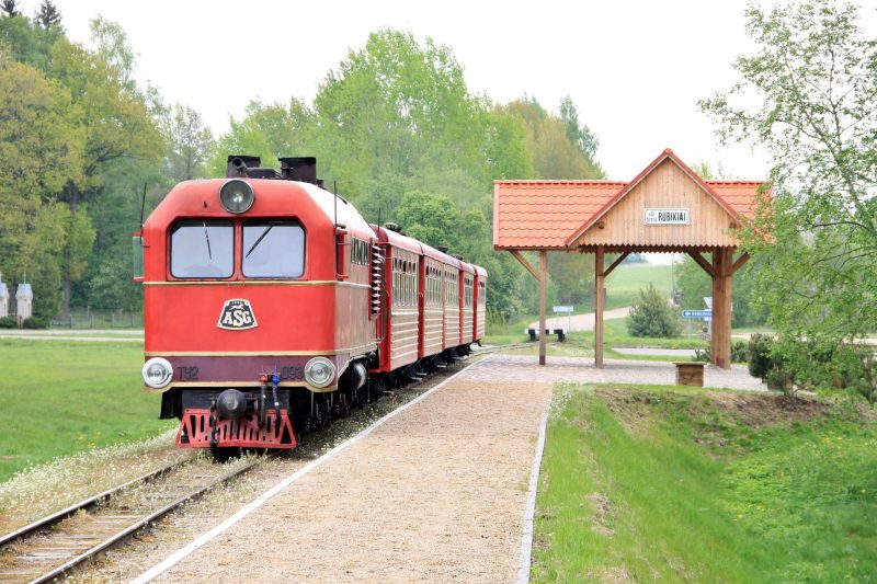 Ekskursijos į medžių lajų taką. Siaurukas